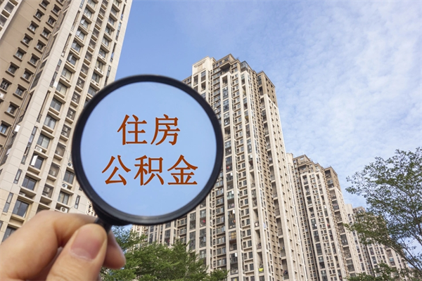 公积金还看征信吗吗_阿勒泰公积金代办在职离职封存服务